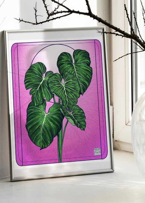 Pink philodendron képkeretben